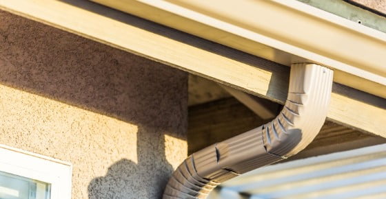 Gutter & Roof Service - The Entrance